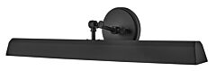 Large Adjustable Accent Light
