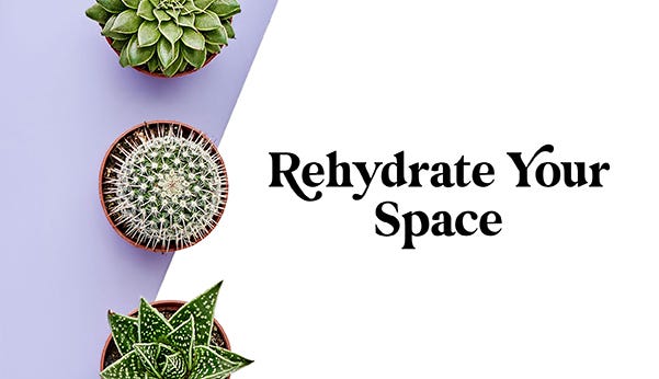 Rehydrate Your Space