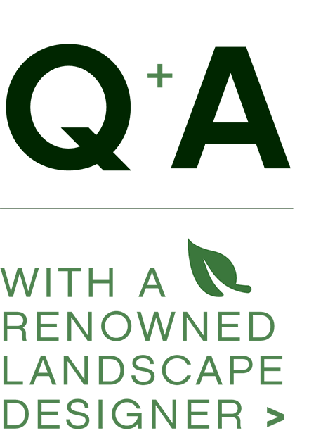 Q&A WITH A RENOWNED LANDSCAPE DESIGNER